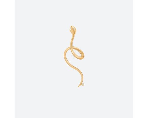 Boucle D'Oreille Snakes