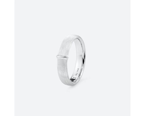 Nature Ring Large for Men