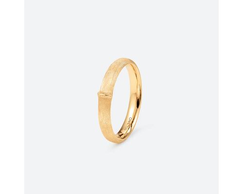 Petite Bague Nature Pour Homme