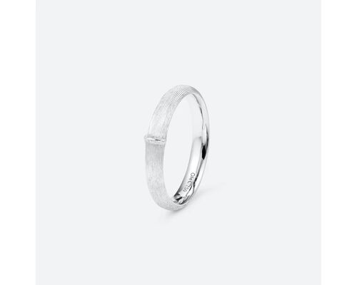 Petite Bague Nature Pour Homme