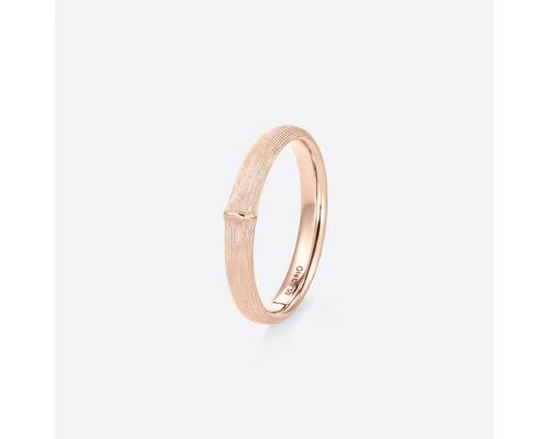 Bague Homme Nature Petite