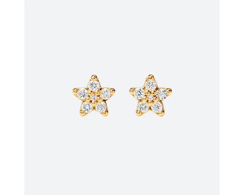 Petits Puces D'Oreilles Shooting Stars