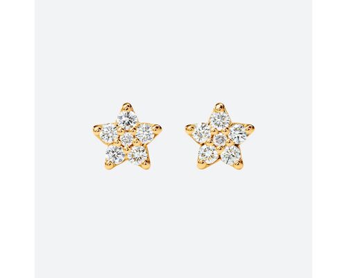 Shooting Stars Stud Earrings Large