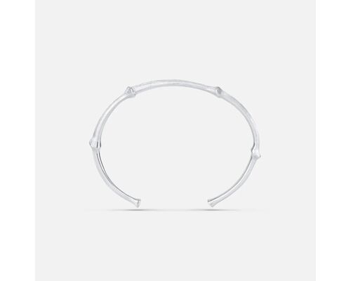 Nature Bangle