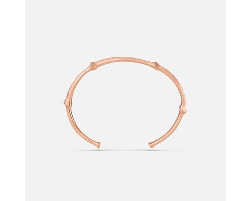 Nature Bangle