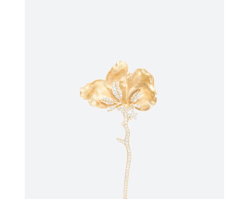 Broche Wild Rose