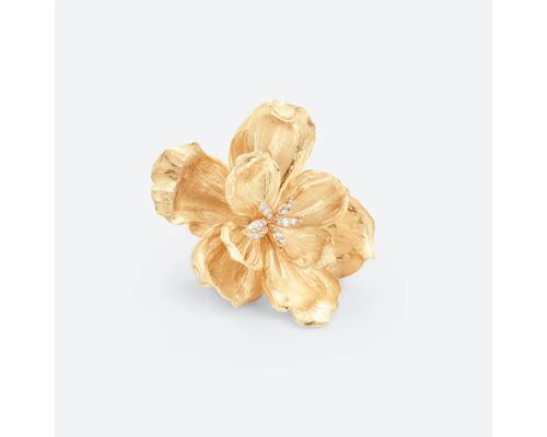 Broche Wild Rose