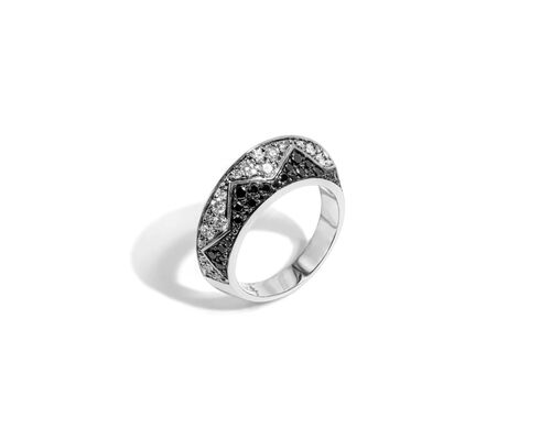 Eve_r Modular Ring