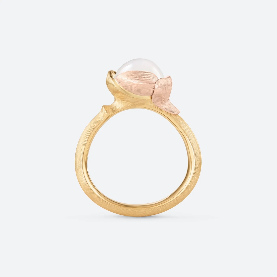 Lotus Ring 1