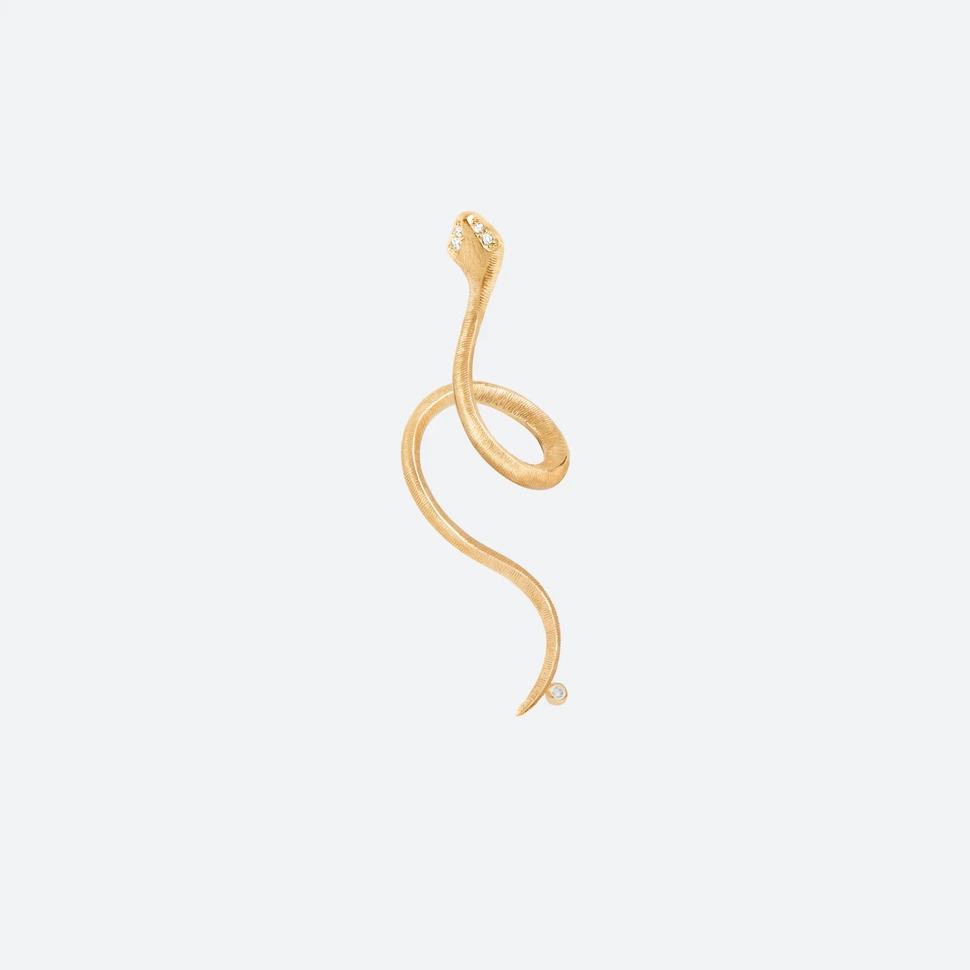 Boucle D'Oreille Snakes