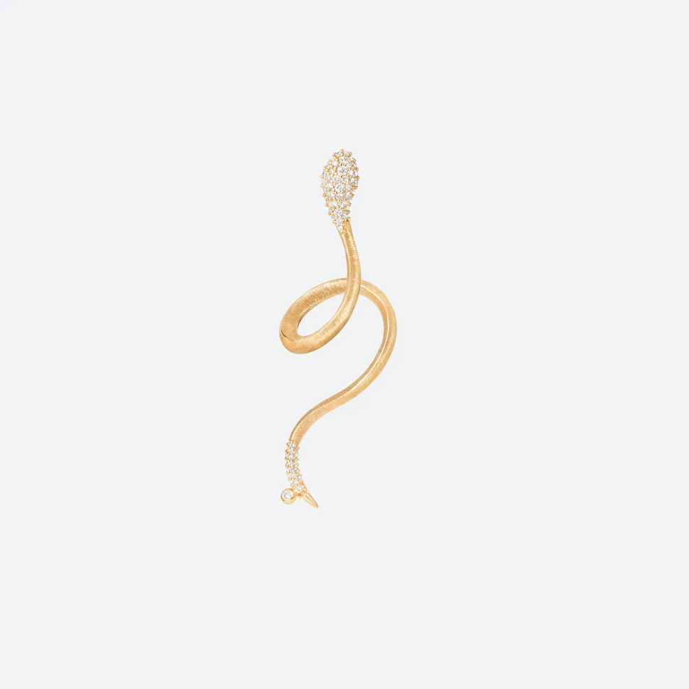 Boucle D'Oreille Snakes