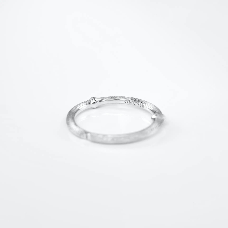 Nature Ring I