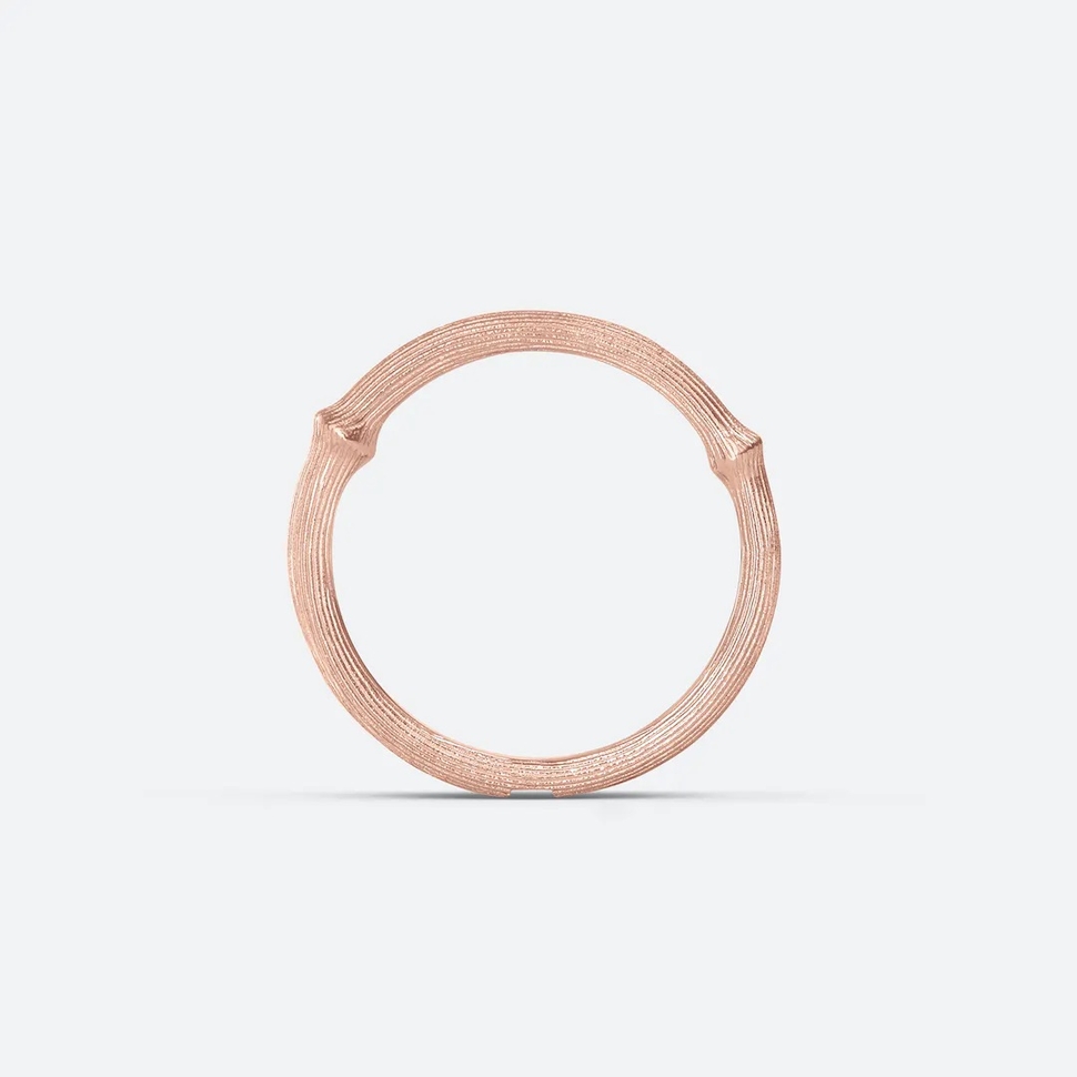 Nature Ring I