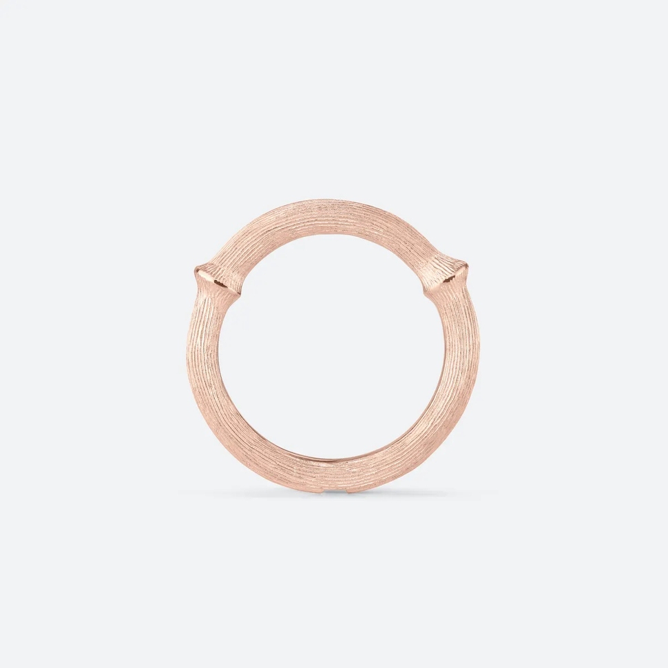 Nature Ring III