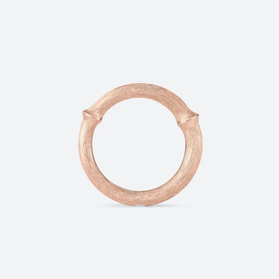 Nature Ring IV