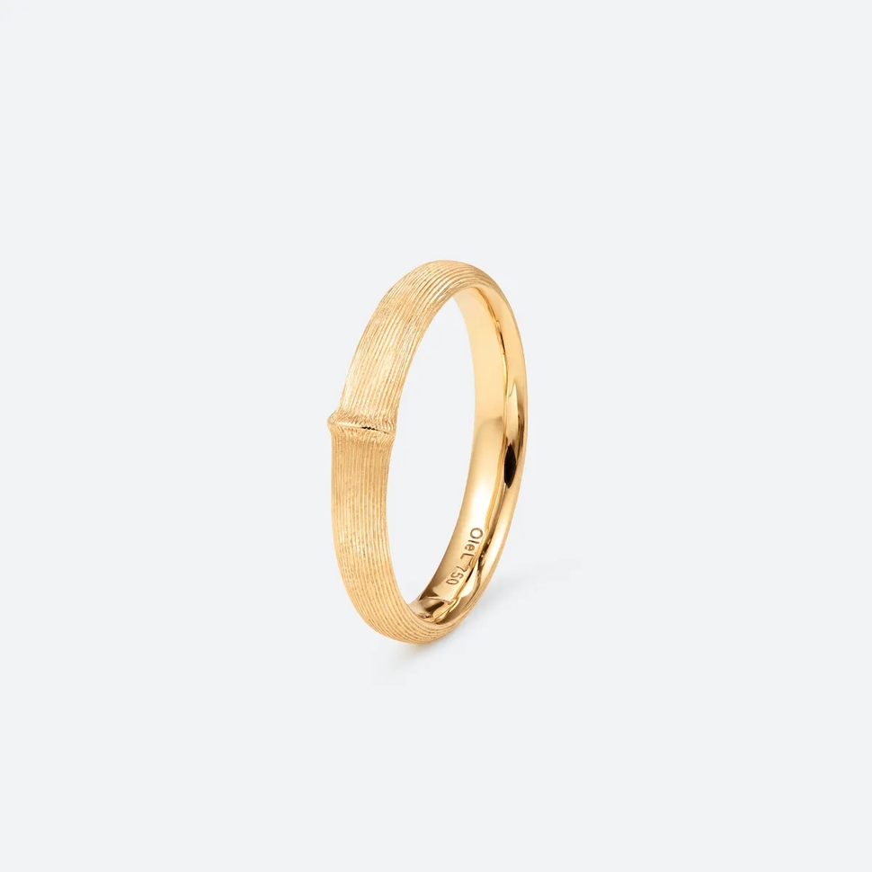 Petite Bague Nature Pour Homme