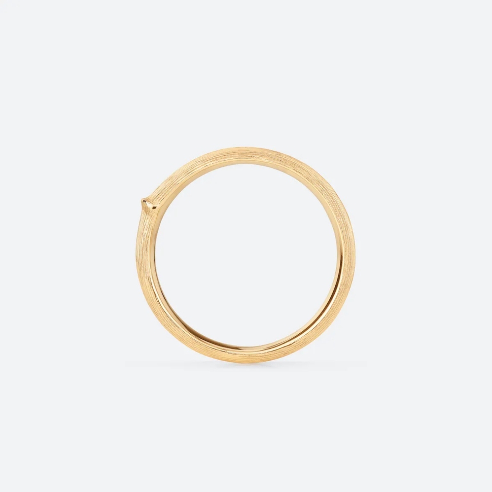 Petite Bague Nature Pour Homme