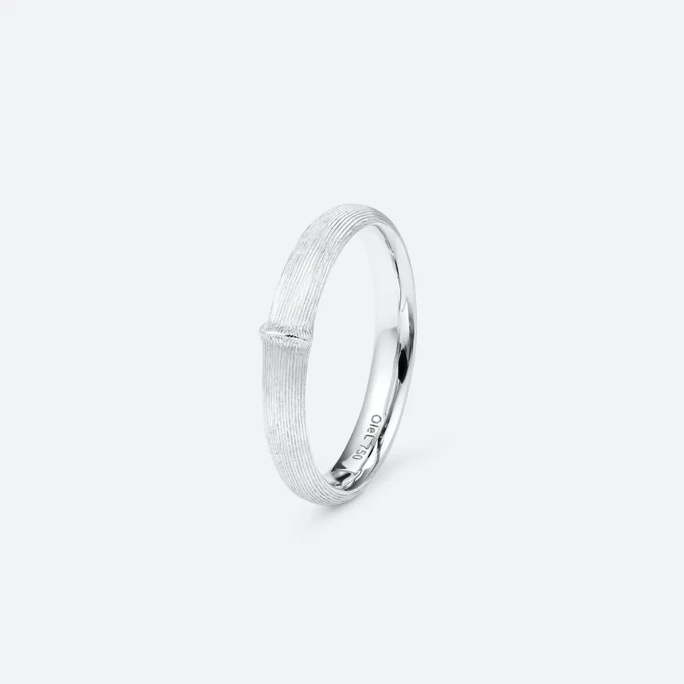 Petite Bague Nature Pour Homme