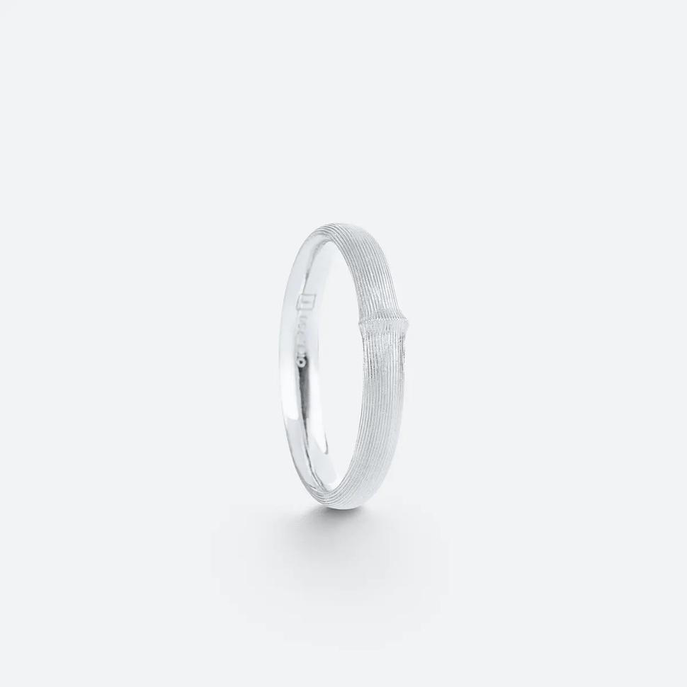 Petite Bague Nature Pour Homme