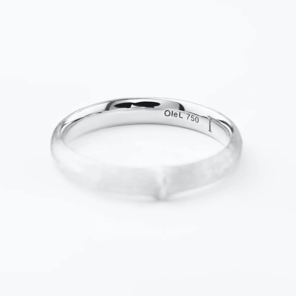 Petite Bague Nature Pour Homme