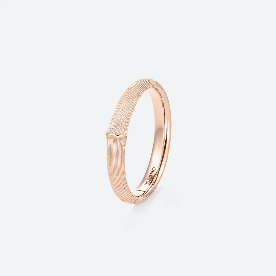 Bague Homme Nature Petite