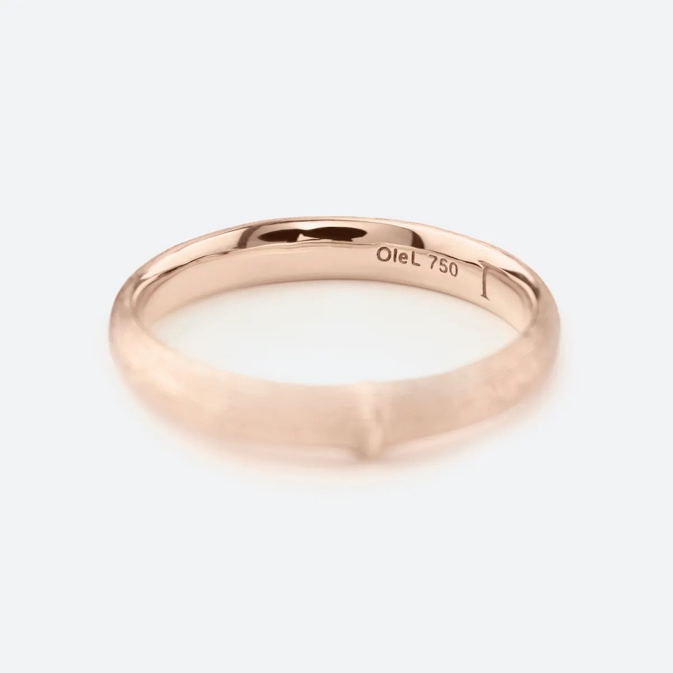 Bague Homme Nature Petite