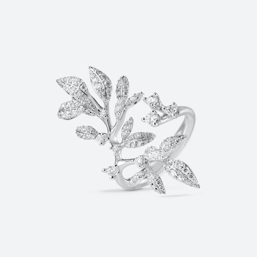 Bague Winter Frost