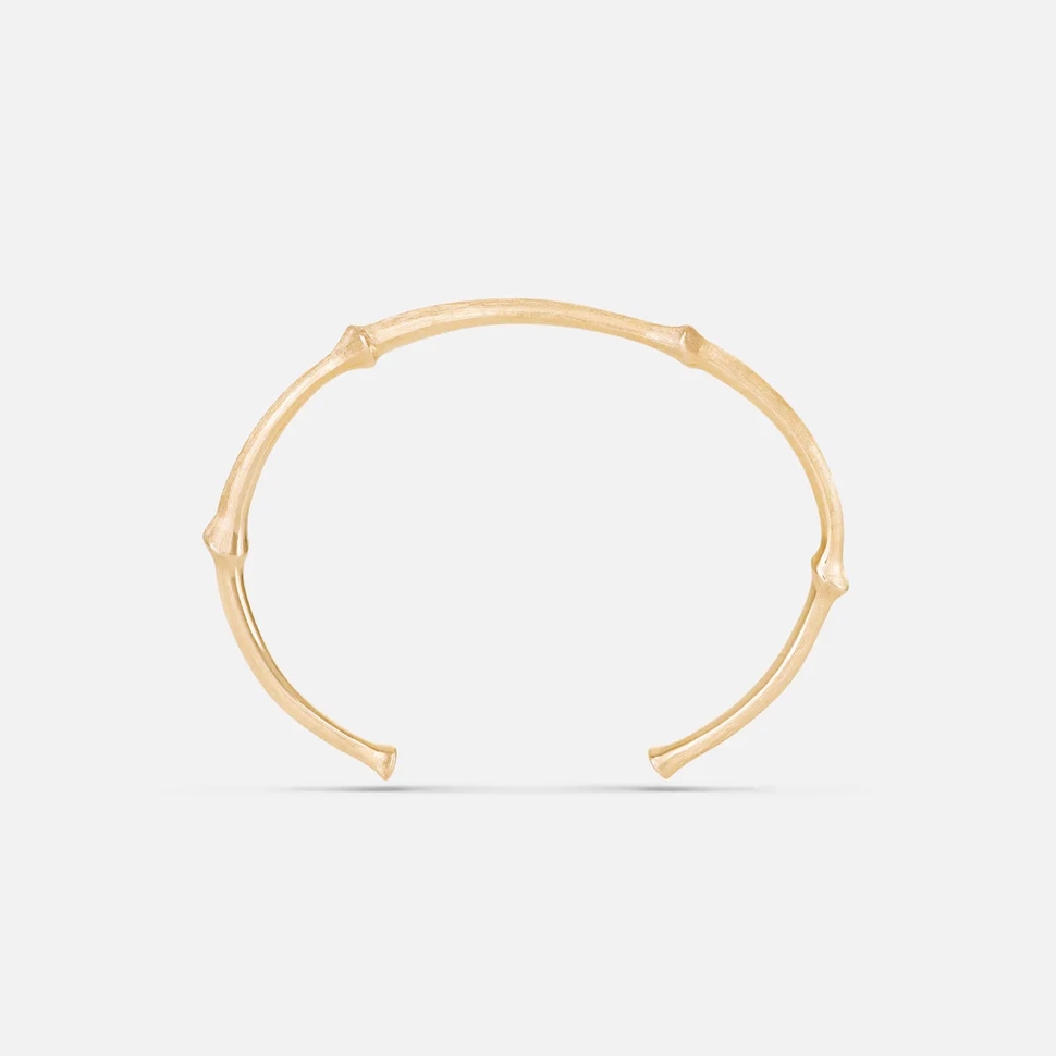 Nature Bangle