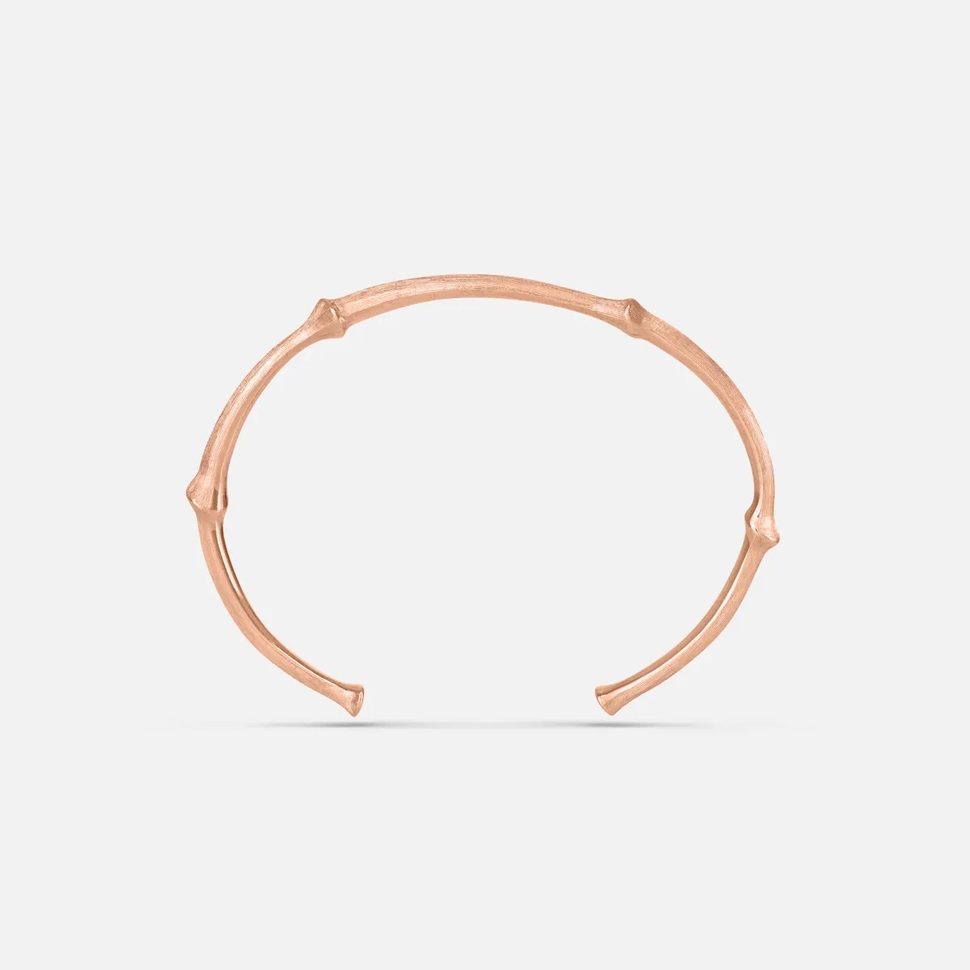 Nature Bangle