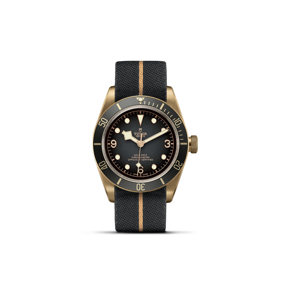 Black Bay Bronze